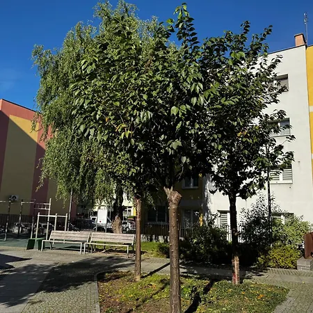 Апартаменты Muzyczny Kacik Przy Rynku *